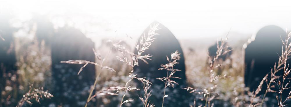 grasses and headstones 